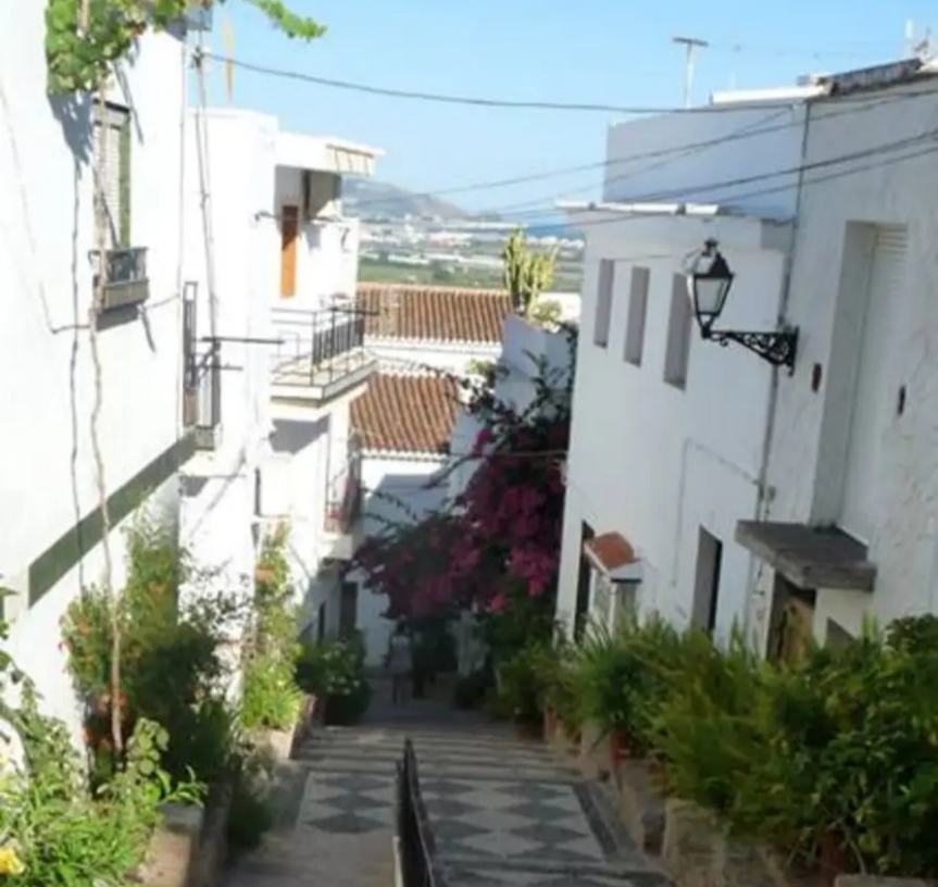 La Asociacin de Vecinos del Casco Antiguo de Salobrea denuncia el estado de dejadez 
